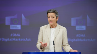La UE anuncia una investigaci&oacute;n a proveedores chinos de turbinas e&oacute;licas