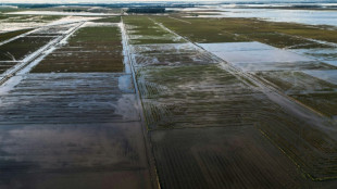 Brasil elimina aranceles de importaci&oacute;n al arroz tras p&eacute;rdidas por inundaciones