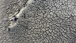 Uruguay prorroga hasta fin de a&ntilde;o emergencia agropecuaria por d&eacute;ficit h&iacute;drico