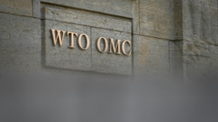 Jefa de la OMC advierte del riesgo de divisi&oacute;n de la econom&iacute;a mundial por guerra en Ucrania