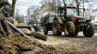Bauern protestieren in Frankreich und Großbritannien