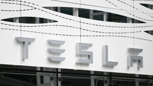 Tesla pide a sus accionistas volver a aprobar plan de remuneraci&oacute;n de Musk