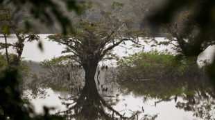 Cambio clim&aacute;tico y deforestaci&oacute;n amenazan al humedal mejor conservado de Ecuador