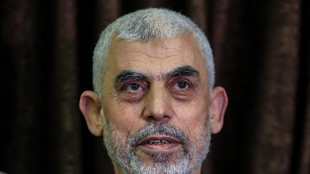 Hamas, 'Sinwar nuovo capo politico dopo Haniyeh'