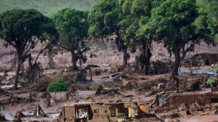 Mineras Vale y BHP proponen indemnizaci&oacute;n de USD 25.000 millones por desastre de Mariana en Brasil