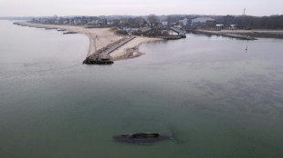 Gestrandeter Wal vor Schleswig-Holstein: Hoffnungen ruhen auf Schwimmbagger