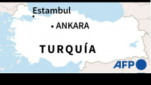 Al menos seis muertos y ocho heridos en un ataque de un hombre armado en Turqu&iacute;a