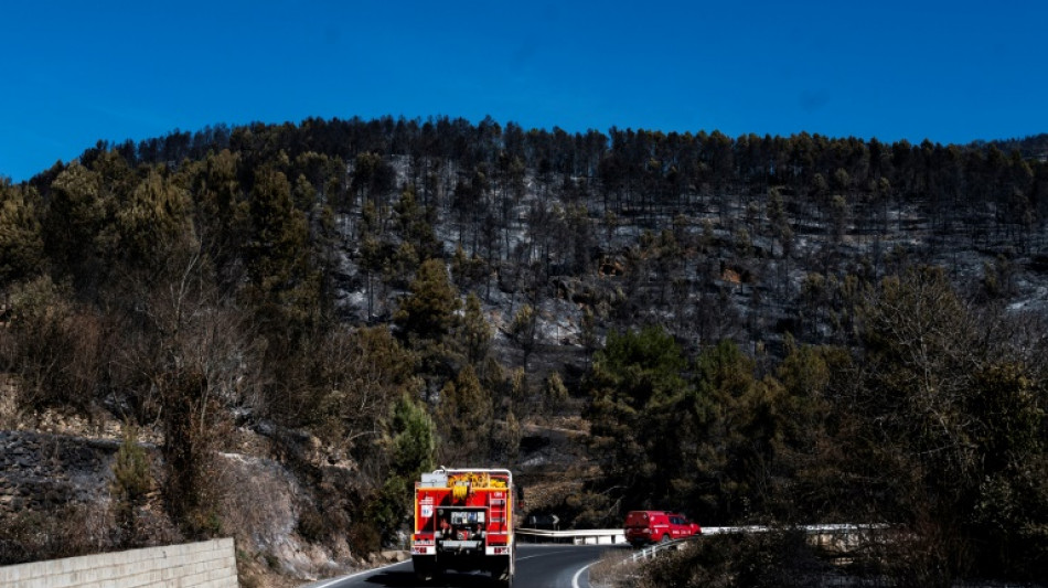 Progresa la lucha contra el incendio que quema miles de hect&aacute;reas al oeste de Espa&ntilde;a